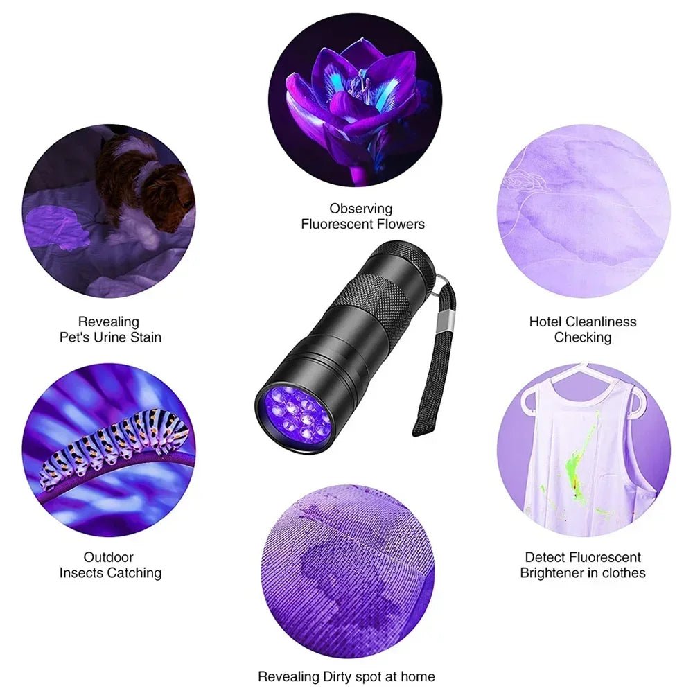 Lampe torche UV - Kyoukaï