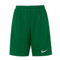 Nike Youth Shorts Quick-Drying Breathable Shorts Running Fitness Casual Sports Shorts Hf0531-657 - Kyoukaï